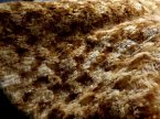 #3287 MC16-2B-9612 Batik Gold to Rust #3287 MC16-2B-9612 Batik Gold to Rust