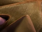 R-Mini-C-5284 Cinnamon