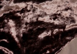 RD-5842 ** F1/2 yard Only **