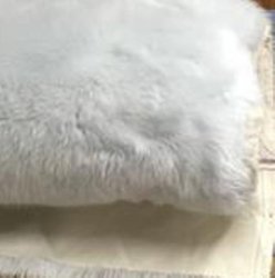 S464-5697 Soft Blue