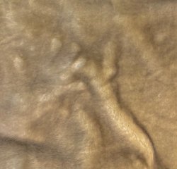 SST2500-501 Fawn