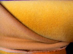 W05-6084 Mustard Gold