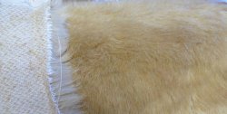 S264-1504 Ginger