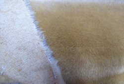 S328-1504 Fox or Ginger
